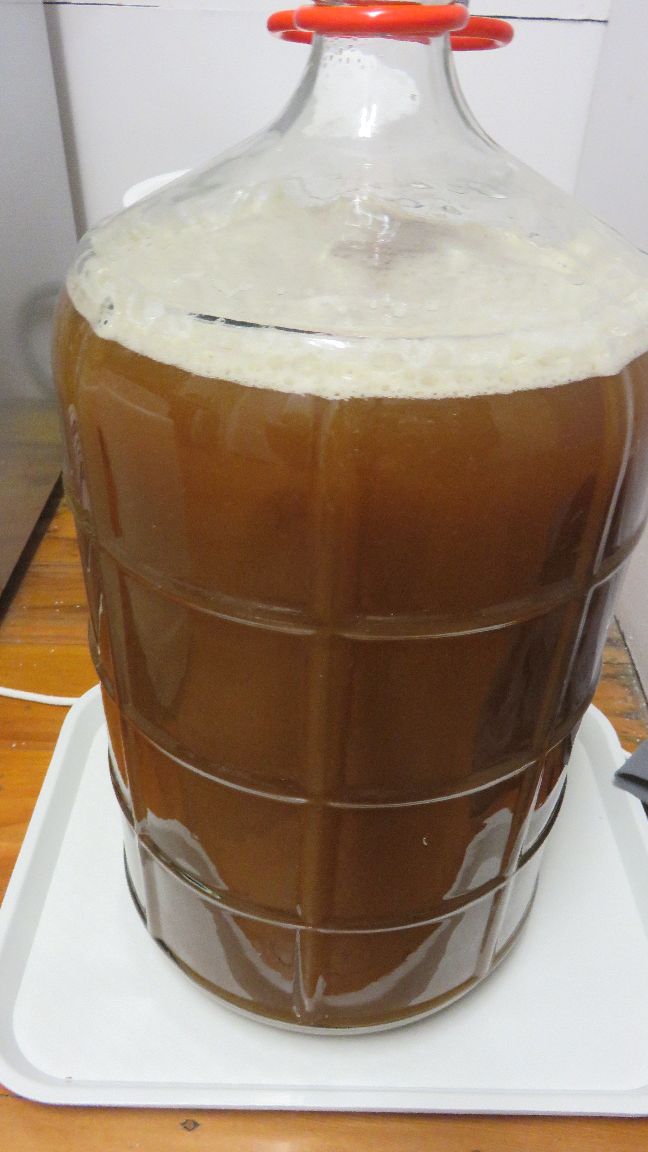 Zwooby.com BestBrewChallenge