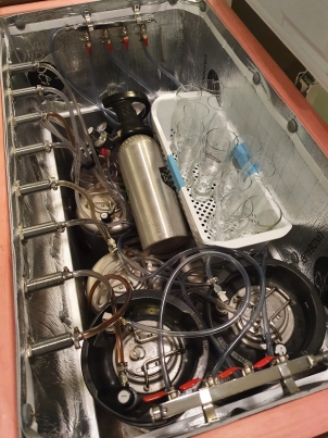 Zwooby.com Keezer